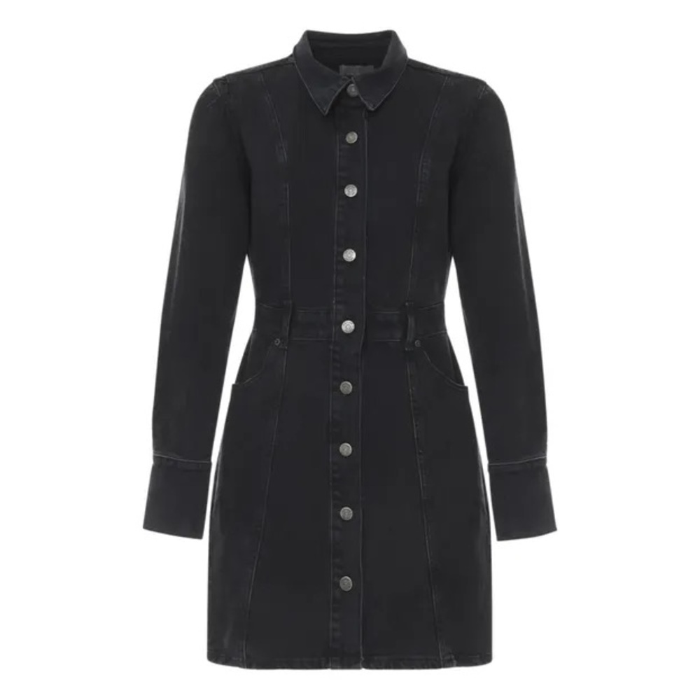 BOYISH Emmett Denim Dress | Moonfleet size small nwot